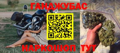 соль ск Новодвинск