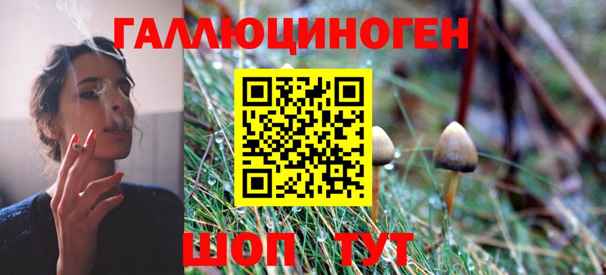 Свободный  Галлюциногенные грибы мицелий  Вход с VPN 